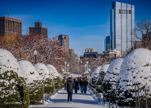 First Boston Snow - Winter 2024