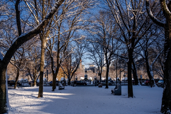 First Boston Snow - Winter 2024