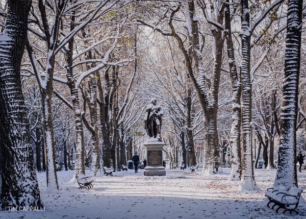 First Boston Snow - Winter 2024