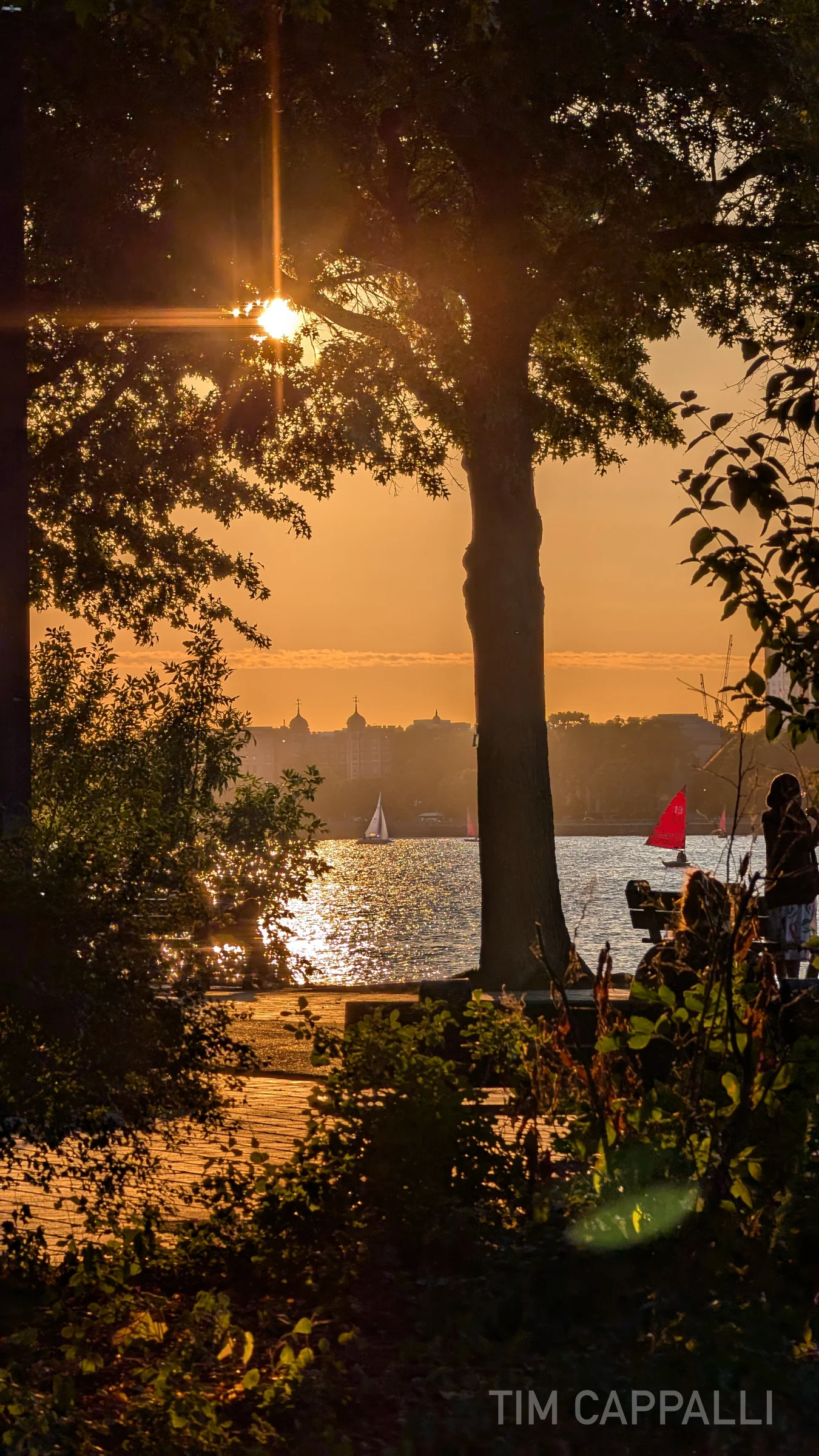 Charles River Esplanade - Boston