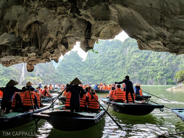 Dau Go Island 🇻🇳