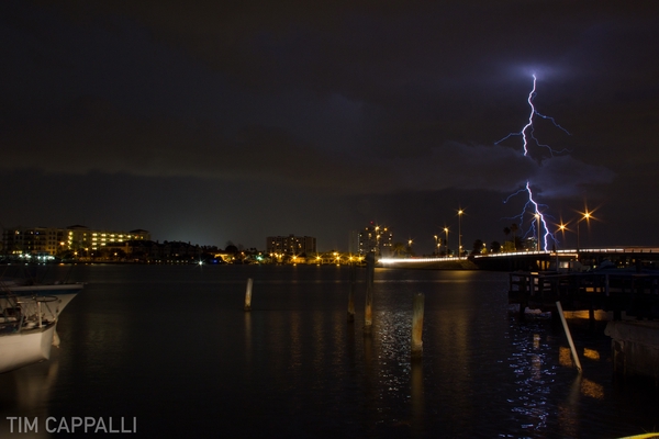 Clearwater, FL 🇺🇸