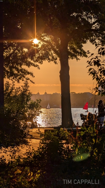 Charles River Esplanade - Boston