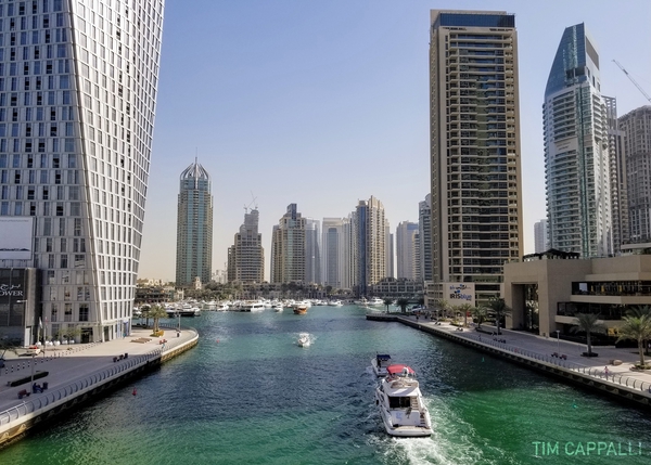 United Arab Emirates 🇦🇪