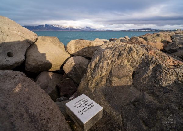 A Note by the Sea |📍Reykjavík 🇮🇸