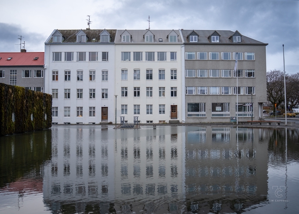 Chez Monique |📍Reykjavík 🇮🇸