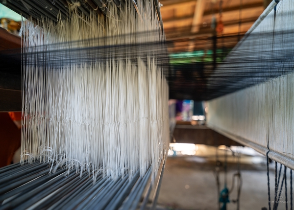 Silk loom