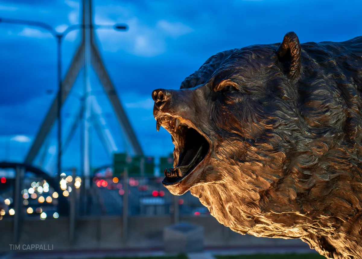 Boston Bruins